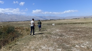 Hakkari’de kaybolan Alzheimer hastası kadını arama çalışmaları sürüyor