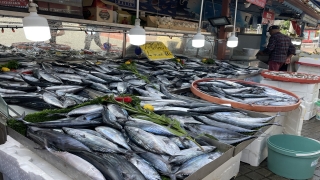 Amasra’da bol miktarda avlanan palamut tezgahları şenlendirdi