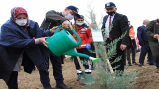 Elazığ’da bir ayda 223 bin fidan toprakla buluşturulacak