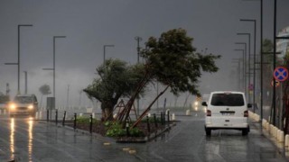 Antalya'da çatılar uçtu, ağaçlar devrildi