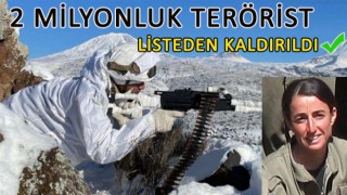 Yeşil kategoride aranan terörist etkisiz hale getirildi