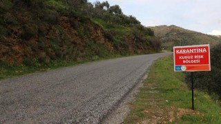 Tunceli'de bir köy kuduz karantinasına alındı