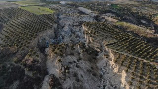 Zeytin tarlasını ikiye bölen dev yarık oluştu